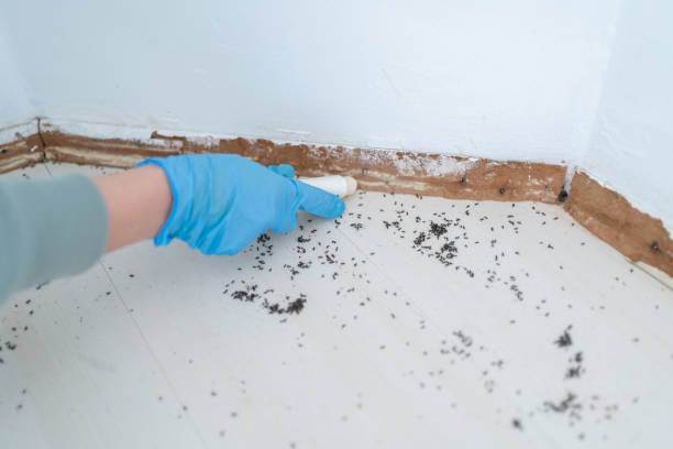 Best Pest Control for Multi-Family Homes  in Oakwood, GA